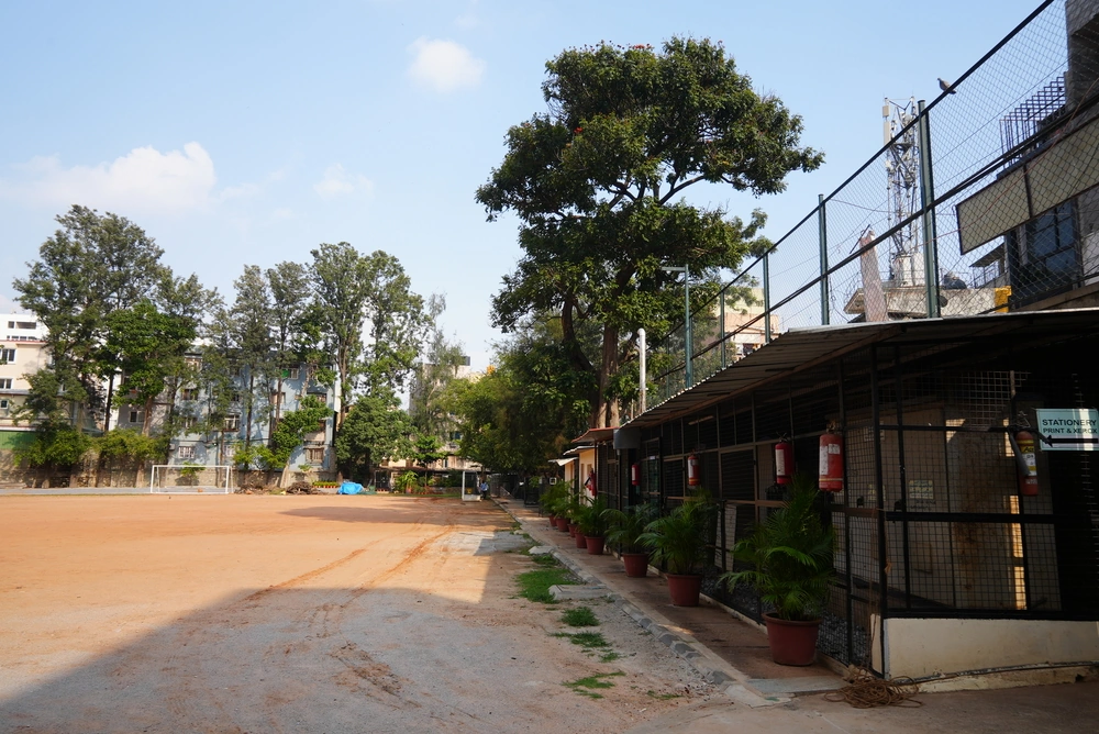 Green Landscaping and Practices – image 2